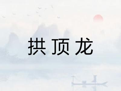 拱顶龙 拱顶龙