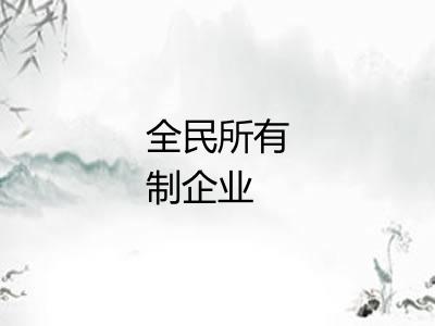 全民所有制企业