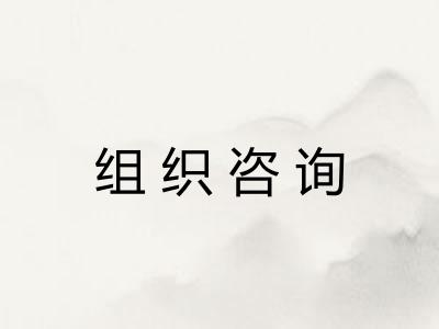 组织咨询 组织咨询