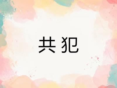 共犯 共犯