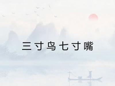 三寸鸟七寸嘴