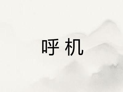 呼机 呼机