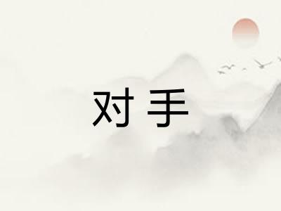 对手