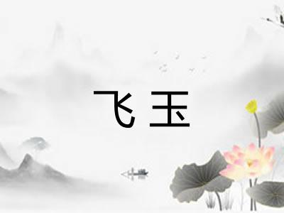 飞玉 飞玉