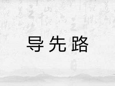 导先路 导先路