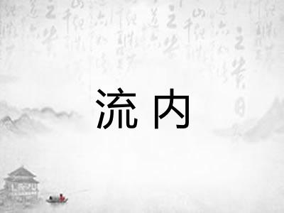 流内