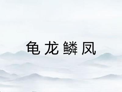 龟龙鳞凤