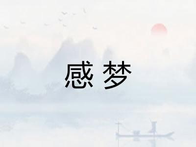 感梦 感梦