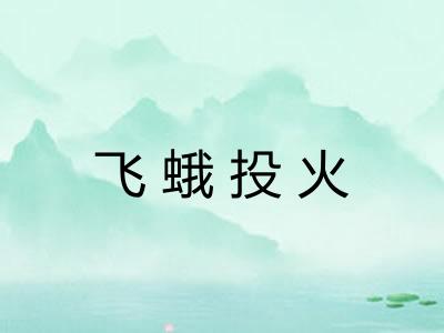 飞蛾投火