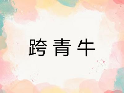跨青牛