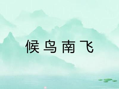 候鸟南飞 候鸟南飞