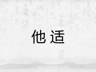 他适 他适