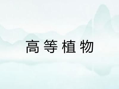 高等植物 高等植物