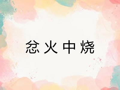 忿火中烧 忿火中烧