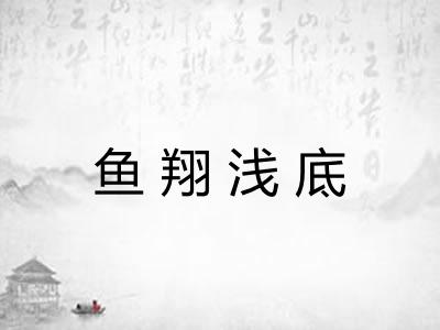 鱼翔浅底 鱼翔浅底