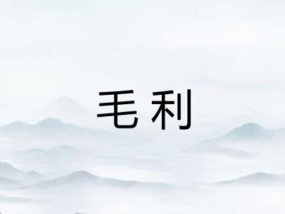毛利