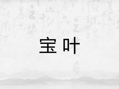 宝叶 宝叶