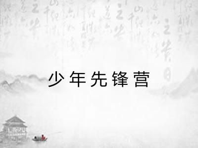 少年先锋营 少年先锋营