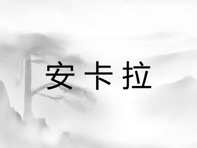 安卡拉 安卡拉