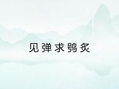 见弹求鸮炙 见弹求鸮炙