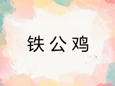 铁公鸡 铁公鸡