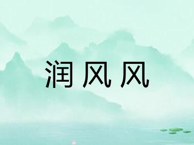 润风风