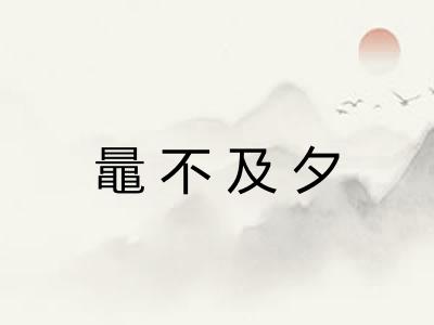 鼂不及夕 鼂不及夕