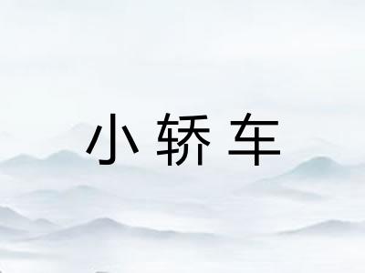 小轿车 小轿车