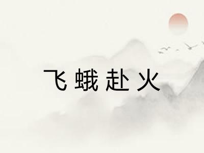 飞蛾赴火