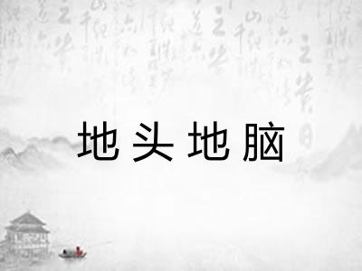 地头地脑 地头地脑