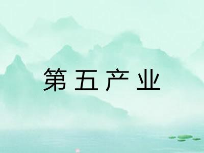 第五产业