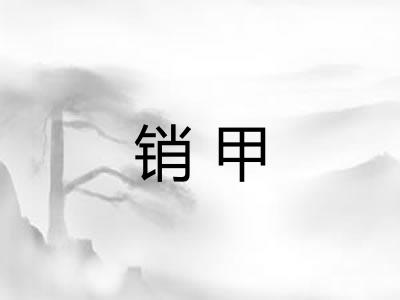 销甲 销甲