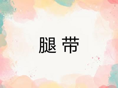 腿带 腿带