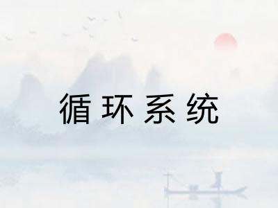 循环系统 循环系统