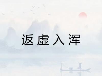 返虚入浑