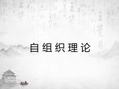 自组织理论 自组织理论