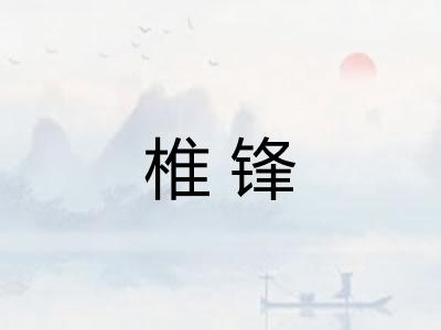 椎锋 椎锋