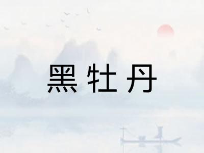 黑牡丹