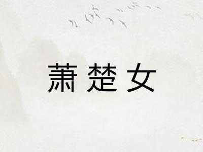 萧楚女 萧楚女
