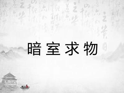 暗室求物