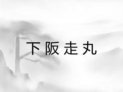 下阪走丸