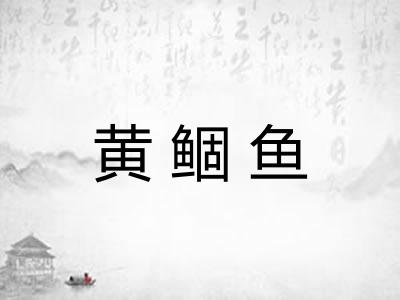 黄鲴鱼 黄鲴鱼