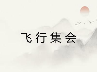 飞行集会