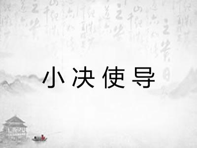 小决使导