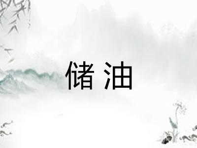 储油