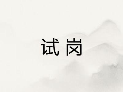 试岗
