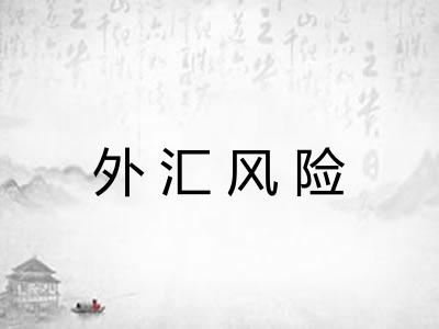 外汇风险 外汇风险