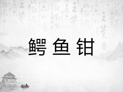 鳄鱼钳 鳄鱼钳