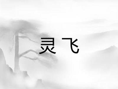 灵飞 灵飞