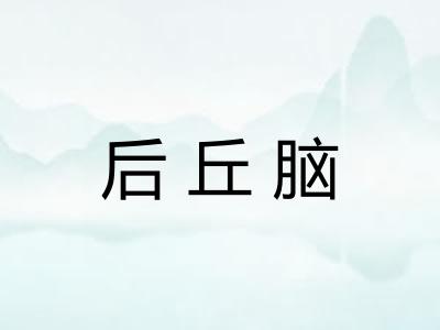 后丘脑 后丘脑